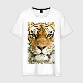 Мужская футболка хлопок с принтом Тигр (retro style) в Санкт-Петербурге, 100% хлопок | прямой крой, круглый вырез горловины, длина до линии бедер, слегка спущенное плечо. | tiger | дикая кошка | тигр | хищник