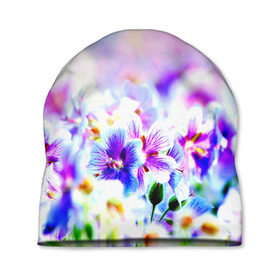 Шапка 3D с принтом Цветочное поле в Санкт-Петербурге, 100% полиэстер | универсальный размер, печать по всей поверхности изделия | весна | лето | цветочки | цветы
