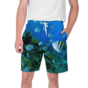 Мужские шорты 3D с принтом Подводный мир в Санкт-Петербурге,  полиэстер 100% | прямой крой, два кармана без застежек по бокам. Мягкая трикотажная резинка на поясе, внутри которой широкие завязки. Длина чуть выше колен | дно | океан | природа | рыбки