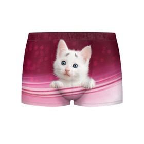 Мужские трусы 3D с принтом Белый котёнок в Санкт-Петербурге, 50% хлопок, 50% полиэстер | классическая посадка, на поясе мягкая тканевая резинка | Тематика изображения на принте: киска | кот | котёнок | кошка | прикольные картинки