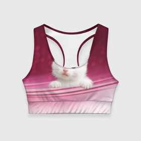 Женский спортивный топ 3D с принтом Белый котёнок в Санкт-Петербурге, 82% полиэстер, 18% спандекс Ткань безопасна для здоровья, позволяет коже дышать, не мнется и не растягивается |  | киска | кот | котёнок | кошка | прикольные картинки