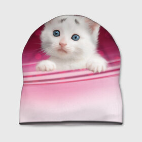 Шапка 3D с принтом Белый котёнок в Санкт-Петербурге, 100% полиэстер | универсальный размер, печать по всей поверхности изделия | киска | кот | котёнок | кошка | прикольные картинки