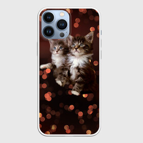Чехол для iPhone 13 Pro Max с принтом Котята в Санкт-Петербурге,  |  | Тематика изображения на принте: киска | кот | котёнок | кошка | прикольные картинки