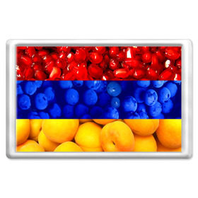 Магнит 45*70 с принтом Флаг Армении в Санкт-Петербурге, Пластик | Размер: 78*52 мм; Размер печати: 70*45 | Тематика изображения на принте: армения | гранат | персик | слива | страны | флаг армении | фрукты