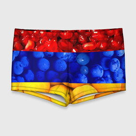 Мужские купальные плавки 3D с принтом Флаг Армении в Санкт-Петербурге, Полиэстер 85%, Спандекс 15% |  | армения | гранат | персик | слива | страны | флаг армении | фрукты