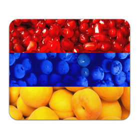 Коврик прямоугольный с принтом Флаг Армении в Санкт-Петербурге, натуральный каучук | размер 230 х 185 мм; запечатка лицевой стороны | Тематика изображения на принте: армения | гранат | персик | слива | страны | флаг армении | фрукты