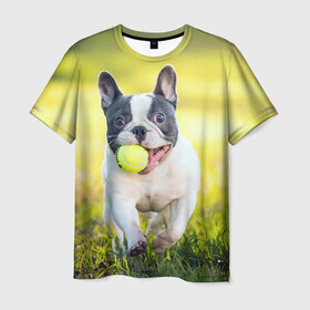 Мужская футболка 3D с принтом Бульдог в Санкт-Петербурге, 100% полиэфир | прямой крой, круглый вырез горловины, длина до линии бедер | бульдог | лето | мячик | радость | собака | солнце