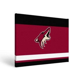 Холст прямоугольный с принтом Arizona Coyotes в Санкт-Петербурге, 100% ПВХ |  | arizona coyotes | hockey | nhl | нхл | хоккей