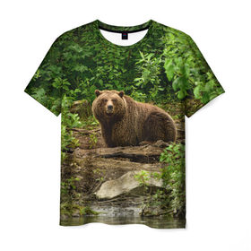 Мужская футболка 3D с принтом Бурый медведь в Санкт-Петербурге, 100% полиэфир | прямой крой, круглый вырез горловины, длина до линии бедер | Тематика изображения на принте: 