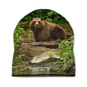 Шапка 3D с принтом Бурый медведь в Санкт-Петербурге, 100% полиэстер | универсальный размер, печать по всей поверхности изделия | 