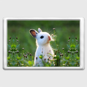 Магнит 45*70 с принтом Кролик в Санкт-Петербурге, Пластик | Размер: 78*52 мм; Размер печати: 70*45 | Тематика изображения на принте: animal | baby | cute | flowers | fluffy | hare | lawn | little | meadow | rabbit | животное | заяц | кролик | луг | лужайка | маленький | малыш | милый | пушистый | цветы