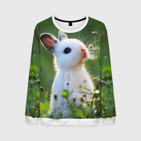 Мужской свитшот 3D с принтом Кролик в Санкт-Петербурге, 100% полиэстер с мягким внутренним слоем | круглый вырез горловины, мягкая резинка на манжетах и поясе, свободная посадка по фигуре | animal | baby | cute | flowers | fluffy | hare | lawn | little | meadow | rabbit | животное | заяц | кролик | луг | лужайка | маленький | малыш | милый | пушистый | цветы