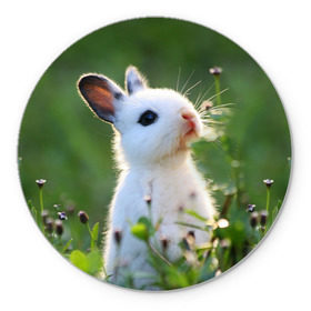 Коврик круглый с принтом Кролик в Санкт-Петербурге, резина и полиэстер | круглая форма, изображение наносится на всю лицевую часть | animal | baby | cute | flowers | fluffy | hare | lawn | little | meadow | rabbit | животное | заяц | кролик | луг | лужайка | маленький | малыш | милый | пушистый | цветы