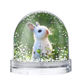 Снежный шар с принтом Кролик в Санкт-Петербурге, Пластик | Изображение внутри шара печатается на глянцевой фотобумаге с двух сторон | animal | baby | cute | flowers | fluffy | hare | lawn | little | meadow | rabbit | животное | заяц | кролик | луг | лужайка | маленький | малыш | милый | пушистый | цветы