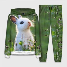 Женский костюм 3D (с толстовкой) с принтом Кролик в Санкт-Петербурге,  |  | animal | baby | cute | flowers | fluffy | hare | lawn | little | meadow | rabbit | животное | заяц | кролик | луг | лужайка | маленький | малыш | милый | пушистый | цветы