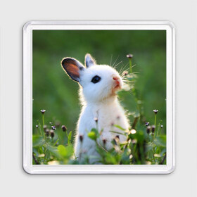 Магнит 55*55 с принтом Кролик в Санкт-Петербурге, Пластик | Размер: 65*65 мм; Размер печати: 55*55 мм | animal | baby | cute | flowers | fluffy | hare | lawn | little | meadow | rabbit | животное | заяц | кролик | луг | лужайка | маленький | малыш | милый | пушистый | цветы