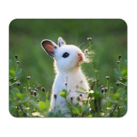 Коврик прямоугольный с принтом Кролик в Санкт-Петербурге, натуральный каучук | размер 230 х 185 мм; запечатка лицевой стороны | Тематика изображения на принте: animal | baby | cute | flowers | fluffy | hare | lawn | little | meadow | rabbit | животное | заяц | кролик | луг | лужайка | маленький | малыш | милый | пушистый | цветы