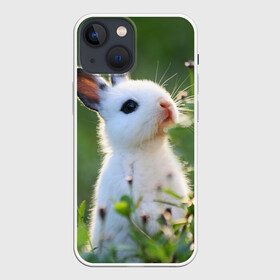 Чехол для iPhone 13 mini с принтом Кролик в Санкт-Петербурге,  |  | animal | baby | cute | flowers | fluffy | hare | lawn | little | meadow | rabbit | животное | заяц | кролик | луг | лужайка | маленький | малыш | милый | пушистый | цветы