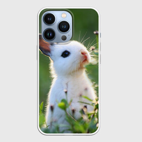 Чехол для iPhone 13 Pro с принтом Кролик в Санкт-Петербурге,  |  | Тематика изображения на принте: animal | baby | cute | flowers | fluffy | hare | lawn | little | meadow | rabbit | животное | заяц | кролик | луг | лужайка | маленький | малыш | милый | пушистый | цветы