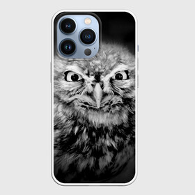 Чехол для iPhone 13 Pro с принтом Сова в Санкт-Петербурге,  |  | beak | bird | eyes | fear | hypnosis | look | night | owl | predator | взгляд | гипноз | глаза | клюв | ночь | птица | сова | хищник