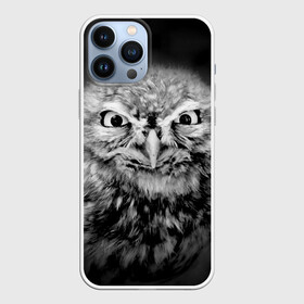 Чехол для iPhone 13 Pro Max с принтом Сова в Санкт-Петербурге,  |  | beak | bird | eyes | fear | hypnosis | look | night | owl | predator | взгляд | гипноз | глаза | клюв | ночь | птица | сова | хищник