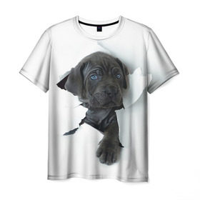 Мужская футболка 3D с принтом щенок Кане Корсо в Санкт-Петербурге, 100% полиэфир | прямой крой, круглый вырез горловины, длина до линии бедер | animal | black | break | breed | dog | kid | paper | puppy | tear | torn | дог | животное | малыш | порода | прорыв | разрыв | рваная | собака | черный | щенок