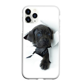 Чехол для iPhone 11 Pro Max матовый с принтом щенок Кане Корсо в Санкт-Петербурге, Силикон |  | animal | black | break | breed | dog | kid | paper | puppy | tear | torn | дог | животное | малыш | порода | прорыв | разрыв | рваная | собака | черный | щенок