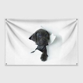 Флаг-баннер с принтом щенок Кане Корсо в Санкт-Петербурге, 100% полиэстер | размер 67 х 109 см, плотность ткани — 95 г/м2; по краям флага есть четыре люверса для крепления | animal | black | break | breed | dog | kid | paper | puppy | tear | torn | дог | животное | малыш | порода | прорыв | разрыв | рваная | собака | черный | щенок
