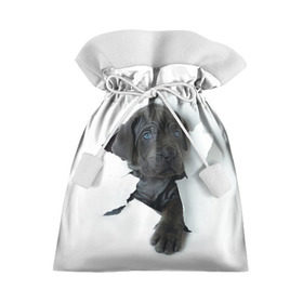 Подарочный 3D мешок с принтом щенок Кане Корсо в Санкт-Петербурге, 100% полиэстер | Размер: 29*39 см | animal | black | break | breed | dog | kid | paper | puppy | tear | torn | дог | животное | малыш | порода | прорыв | разрыв | рваная | собака | черный | щенок