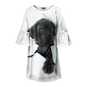 Детское платье 3D с принтом щенок Кане Корсо в Санкт-Петербурге, 100% полиэстер | прямой силуэт, чуть расширенный к низу. Круглая горловина, на рукавах — воланы | animal | black | break | breed | dog | kid | paper | puppy | tear | torn | дог | животное | малыш | порода | прорыв | разрыв | рваная | собака | черный | щенок