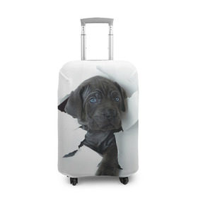Чехол для чемодана 3D с принтом щенок Кане Корсо в Санкт-Петербурге, 86% полиэфир, 14% спандекс | двустороннее нанесение принта, прорези для ручек и колес | animal | black | break | breed | dog | kid | paper | puppy | tear | torn | дог | животное | малыш | порода | прорыв | разрыв | рваная | собака | черный | щенок