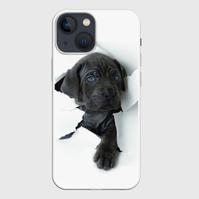 Чехол для iPhone 13 mini с принтом Дог в Санкт-Петербурге,  |  | animal | black | break | breed | dog | kid | paper | puppy | tear | torn | дог | животное | малыш | порода | прорыв | разрыв | рваная | собака | черный | щенок