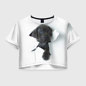 Женская футболка 3D укороченная с принтом щенок Кане Корсо в Санкт-Петербурге, 100% полиэстер | круглая горловина, длина футболки до линии талии, рукава с отворотами | animal | black | break | breed | dog | kid | paper | puppy | tear | torn | дог | животное | малыш | порода | прорыв | разрыв | рваная | собака | черный | щенок