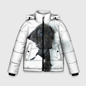 Зимняя куртка для мальчиков 3D с принтом щенок Кане Корсо в Санкт-Петербурге, ткань верха — 100% полиэстер; подклад — 100% полиэстер, утеплитель — 100% полиэстер | длина ниже бедра, удлиненная спинка, воротник стойка и отстегивающийся капюшон. Есть боковые карманы с листочкой на кнопках, утяжки по низу изделия и внутренний карман на молнии. 

Предусмотрены светоотражающий принт на спинке, радужный светоотражающий элемент на пуллере молнии и на резинке для утяжки | Тематика изображения на принте: animal | black | break | breed | dog | kid | paper | puppy | tear | torn | дог | животное | малыш | порода | прорыв | разрыв | рваная | собака | черный | щенок