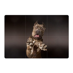 Магнитный плакат 3Х2 с принтом Кане корсо в Санкт-Петербурге, Полимерный материал с магнитным слоем | 6 деталей размером 9*9 см | Тематика изображения на принте: animal | breed | brown | dog | fear | jump | legs | throw | бросок | дог | животное | испуг | коричневый | лапы | порода | прыжок | собака