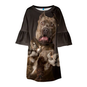 Детское платье 3D с принтом Кане корсо в Санкт-Петербурге, 100% полиэстер | прямой силуэт, чуть расширенный к низу. Круглая горловина, на рукавах — воланы | animal | breed | brown | dog | fear | jump | legs | throw | бросок | дог | животное | испуг | коричневый | лапы | порода | прыжок | собака