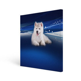 Холст квадратный с принтом Щенок хаски в Санкт-Петербурге, 100% ПВХ |  | кутёнок | прикольные картинки | собака | хаска | щенок