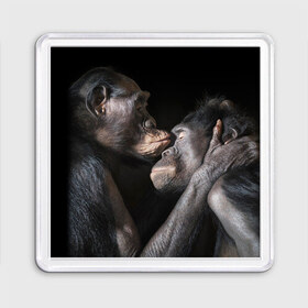 Магнит 55*55 с принтом Шимпанзе в Санкт-Петербурге, Пластик | Размер: 65*65 мм; Размер печати: 55*55 мм | chimps | family | feelings | kiss | monkeys | primates | любовь | обезьяны | поцелуй | приматы | семья | чувства | шимпанзе