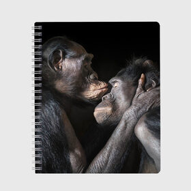 Тетрадь с принтом Шимпанзе в Санкт-Петербурге, 100% бумага | 48 листов, плотность листов — 60 г/м2, плотность картонной обложки — 250 г/м2. Листы скреплены сбоку удобной пружинной спиралью. Уголки страниц и обложки скругленные. Цвет линий — светло-серый
 | chimps | family | feelings | kiss | monkeys | primates | любовь | обезьяны | поцелуй | приматы | семья | чувства | шимпанзе