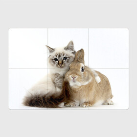 Магнитный плакат 3Х2 с принтом Кот и кролик в Санкт-Петербурге, Полимерный материал с магнитным слоем | 6 деталей размером 9*9 см | Тематика изображения на принте: cat | cute | fluffy | friends | friendship | hug | kitty | rabbit | toddlers | дружба | друзья | кот | котенок | кролик | любовь | малыши | милые | обнимаются | пушистые