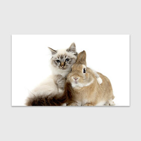 Бумага для упаковки 3D с принтом Кот и кролик в Санкт-Петербурге, пластик и полированная сталь | круглая форма, металлическое крепление в виде кольца | Тематика изображения на принте: cat | cute | fluffy | friends | friendship | hug | kitty | rabbit | toddlers | дружба | друзья | кот | котенок | кролик | любовь | малыши | милые | обнимаются | пушистые