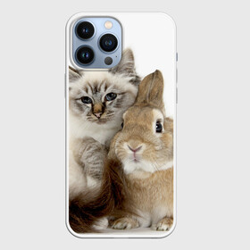 Чехол для iPhone 13 Pro Max с принтом Кот и кролик в Санкт-Петербурге,  |  | cat | cute | fluffy | friends | friendship | hug | kitty | rabbit | toddlers | дружба | друзья | кот | котенок | кролик | любовь | малыши | милые | обнимаются | пушистые