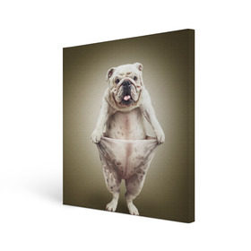 Холст квадратный с принтом Бульдог английский в Санкт-Петербурге, 100% ПВХ |  | Тематика изображения на принте: animals | breed | dog | english bulldog | funny | joke | pants | surrealism | бульдог английский | животное | порода | прикол | собака | сюрреализм | шутка