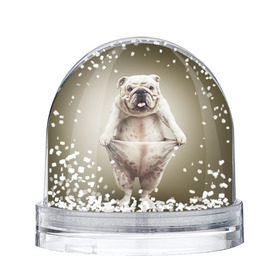 Снежный шар с принтом Бульдог английский в Санкт-Петербурге, Пластик | Изображение внутри шара печатается на глянцевой фотобумаге с двух сторон | animals | breed | dog | english bulldog | funny | joke | pants | surrealism | бульдог английский | животное | порода | прикол | собака | сюрреализм | шутка