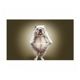 Бумага для упаковки 3D с принтом Бульдог английский в Санкт-Петербурге, пластик и полированная сталь | круглая форма, металлическое крепление в виде кольца | Тематика изображения на принте: animals | breed | dog | english bulldog | funny | joke | pants | surrealism | бульдог английский | животное | порода | прикол | собака | сюрреализм | шутка