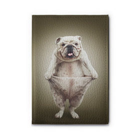 Обложка для автодокументов с принтом Бульдог английский в Санкт-Петербурге, натуральная кожа |  размер 19,9*13 см; внутри 4 больших “конверта” для документов и один маленький отдел — туда идеально встанут права | Тематика изображения на принте: animals | breed | dog | english bulldog | funny | joke | pants | surrealism | бульдог английский | животное | порода | прикол | собака | сюрреализм | шутка