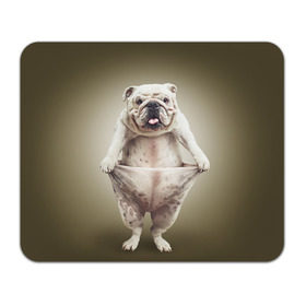 Коврик прямоугольный с принтом Бульдог английский в Санкт-Петербурге, натуральный каучук | размер 230 х 185 мм; запечатка лицевой стороны | animals | breed | dog | english bulldog | funny | joke | pants | surrealism | бульдог английский | животное | порода | прикол | собака | сюрреализм | шутка