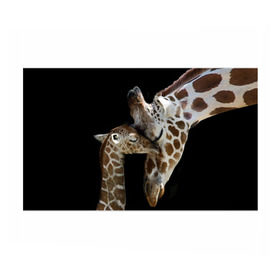 Бумага для упаковки 3D с принтом Жирафы в Санкт-Петербурге, пластик и полированная сталь | круглая форма, металлическое крепление в виде кольца | Тематика изображения на принте: africa | animals | baby | child | family | giraffes | head | mother | африка | головы | животные | жирафы | любовь | малыш | мама | ребенок | семья