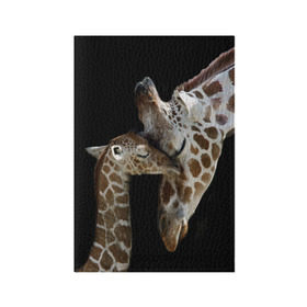Обложка для паспорта матовая кожа с принтом Жирафы в Санкт-Петербурге, натуральная матовая кожа | размер 19,3 х 13,7 см; прозрачные пластиковые крепления | africa | animals | baby | child | family | giraffes | head | mother | африка | головы | животные | жирафы | любовь | малыш | мама | ребенок | семья