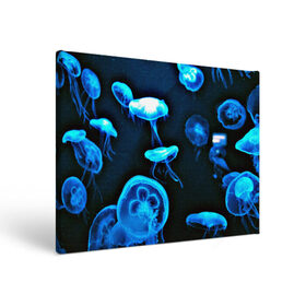Холст прямоугольный с принтом Meduse в Санкт-Петербурге, 100% ПВХ |  | Тематика изображения на принте: вода | медузы | море | морские | океан